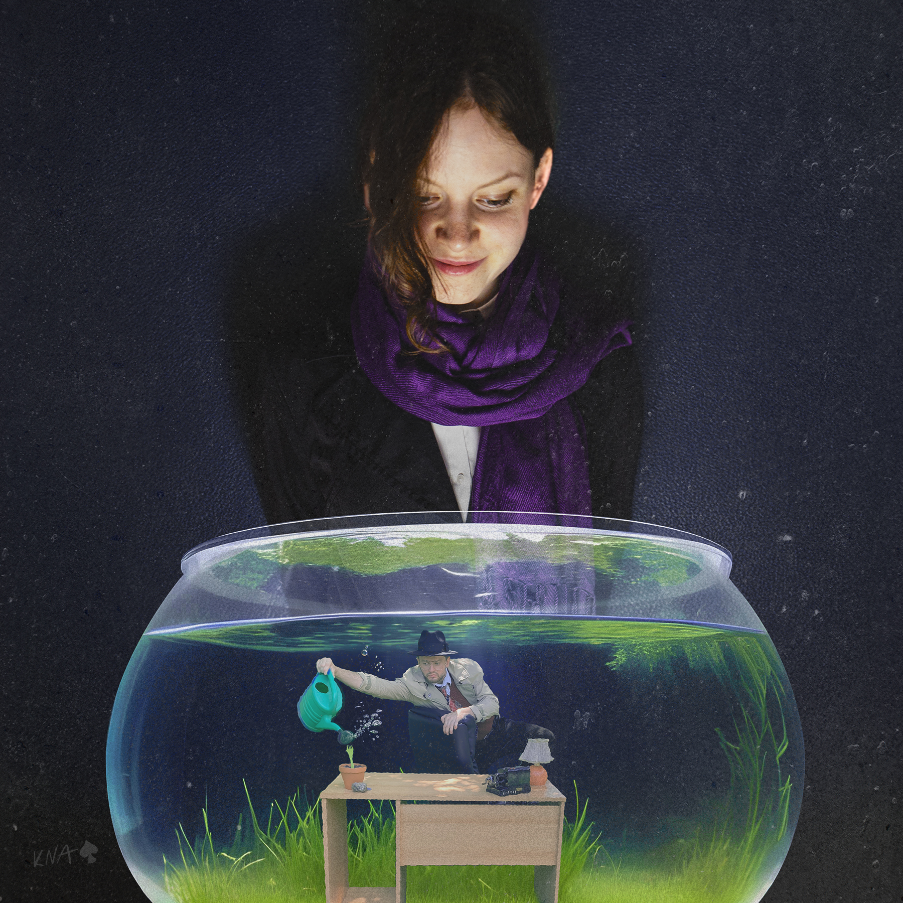 Finalna Agentka cover
